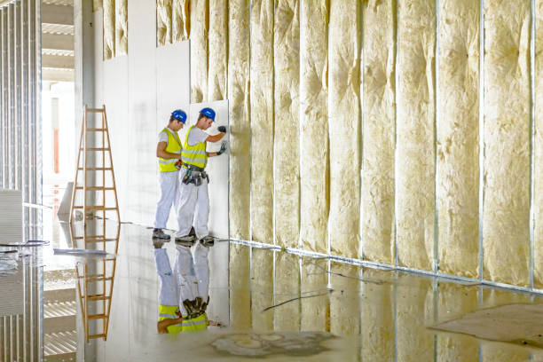 Best Eco-Friendly or Green Insulation Solutions  in Rural Hall, NC